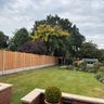 Stonebrooks property & landscaping