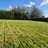 ForEverGreen Gardening Services