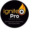 IgnitePro Services