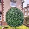 AV Gardens
