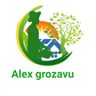 Alex Grozavu