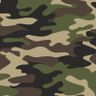Military Landscapes and Paving