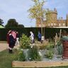 Kinsella gardens