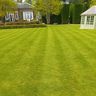 Terragaia.gardenservices