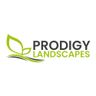 Prodigy Landscapes