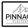 Pinnacle plasterers