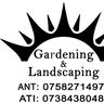 Ant's In Your Plants