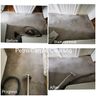 Petro Carpet Cleaning