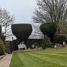 Green initiative garden services