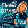 Flisstine Cleaning Services