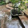 Sycamore Landscaping & Design LTD