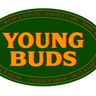Young Buds