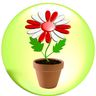 The English Country Gardeners