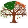 Apex Tree and Home Improvement Services