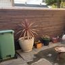 Sunshine Handyman service