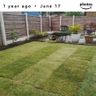 Sun & Soil gardening services