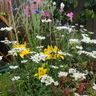 Gardensorted