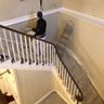 Norfolk Decorators