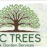 Lc trees