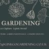 Ginkgo Gardening