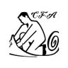 Jason Ellis carpets