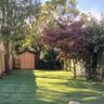 Green Garden