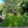 MTS Gardening