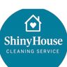 Shiny cleaner
