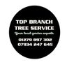 Top branch tree services