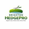 Brighton HedgePro