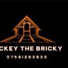 Mickey the Bricky