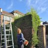 Kelly the Gardener