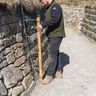 Golvan hedging and landscaping
