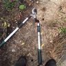 Pits Gardening