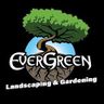 Evergreen landscaping