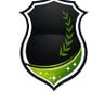 Marvellous security services limited