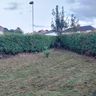 Yard force