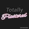 Totally Plastered
