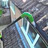 Rise above roofing Ltd