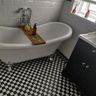 Tilepro Northeast