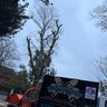 Millers Maintennace LTD