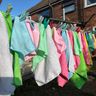 Climate canny cleaning