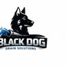 Black Dog Drain Solutions
