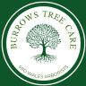 Burrows Tree Care