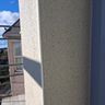 Carlriceplastering