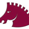 Pegasus Collaborative Ltd