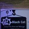 black cat