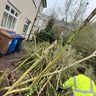 Home maintenance