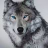 Timberwolf Carpentry & Joinery