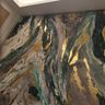 Dolphins builders LTD
